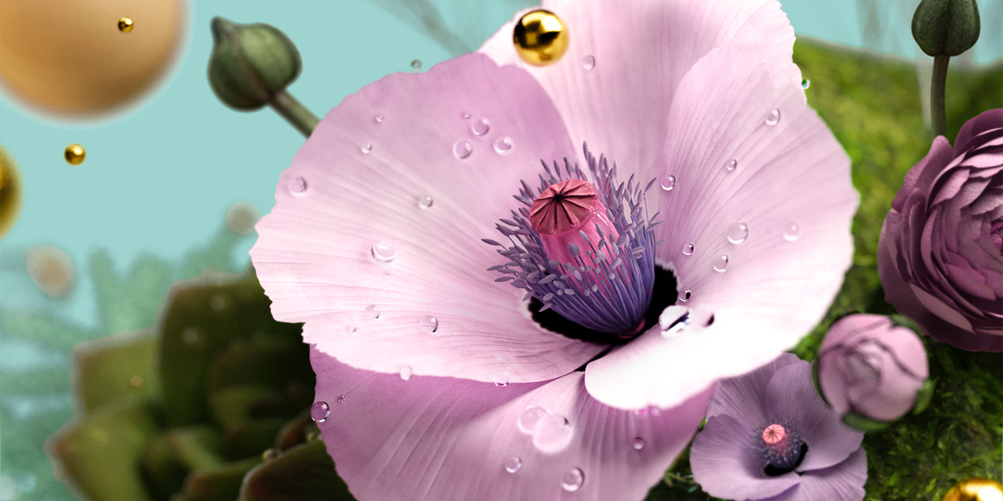 Flower background image