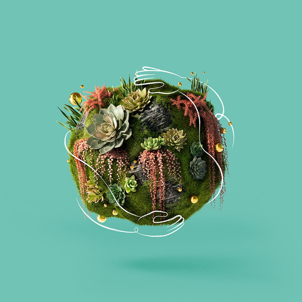 succulents circle on teal background