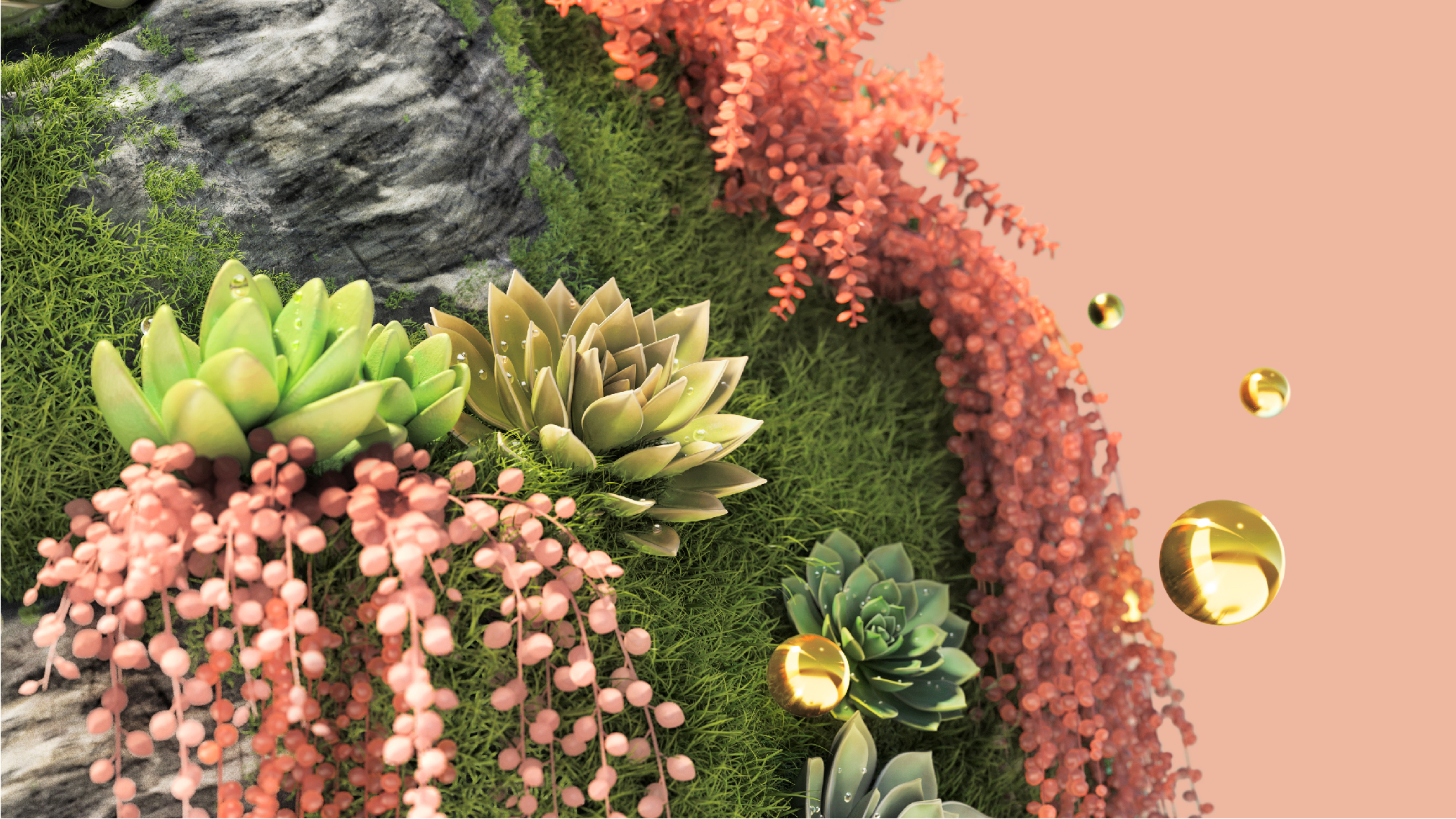 succulents on pick background