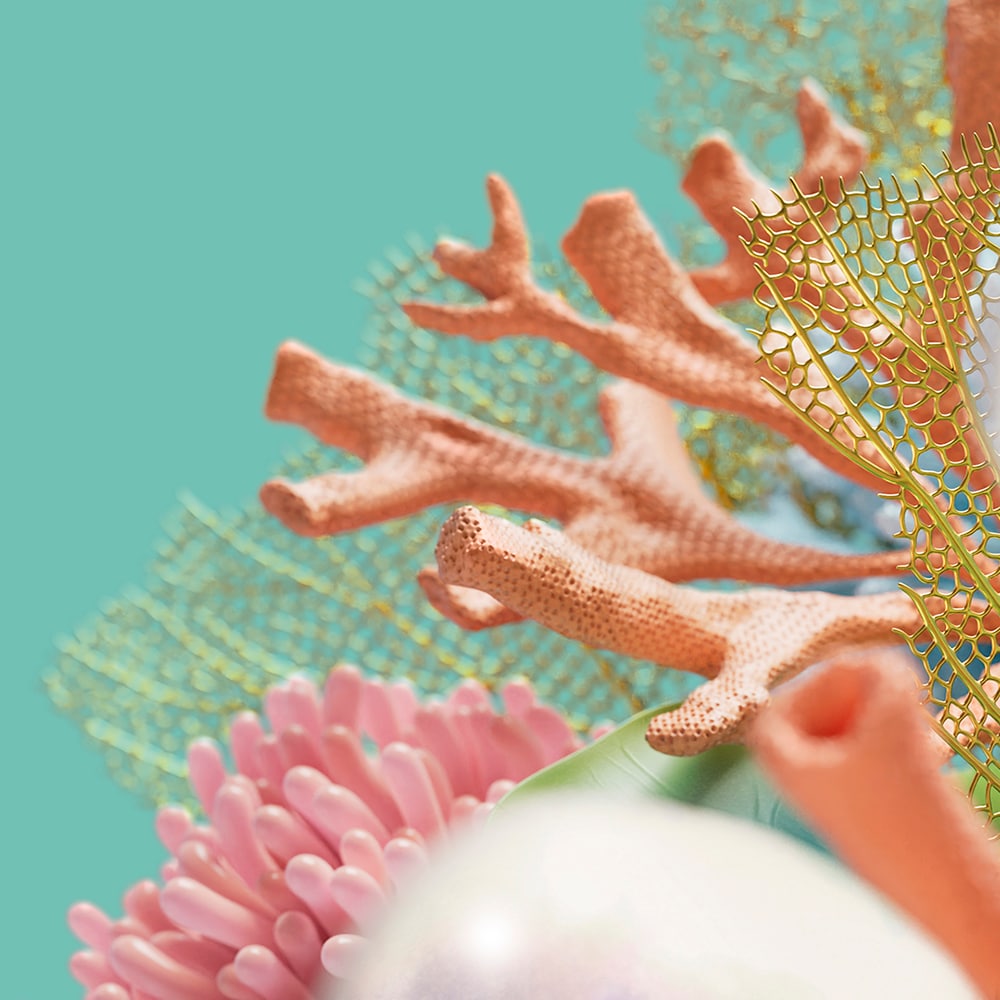colorful coral on teal background