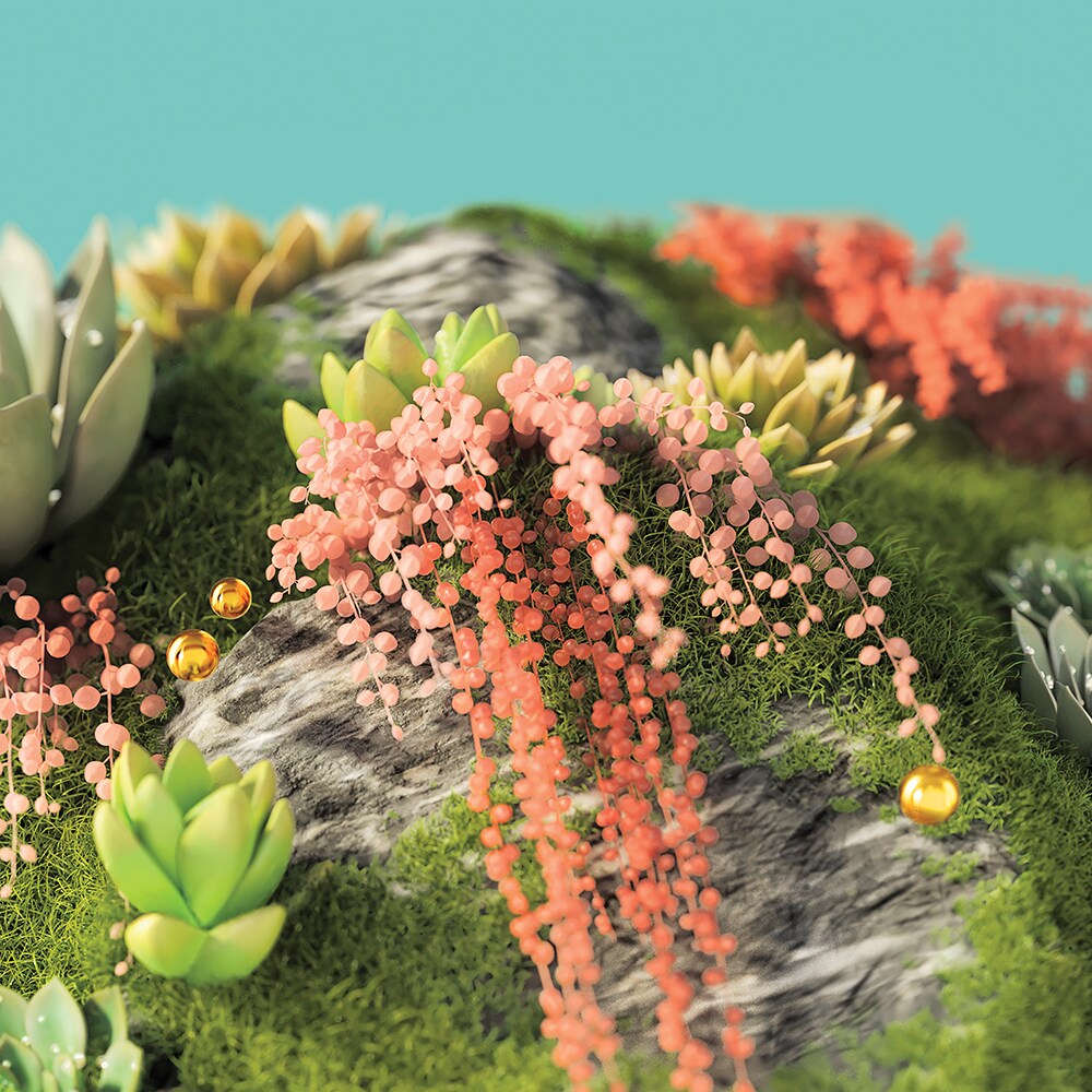 succulents on teal background