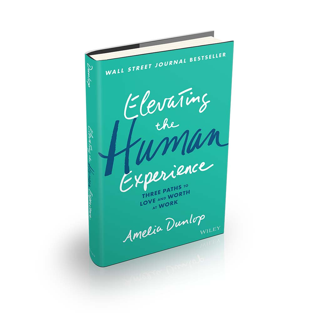 book cover, Elevating the Human Experience: Three Paths to Love and Worth at Work