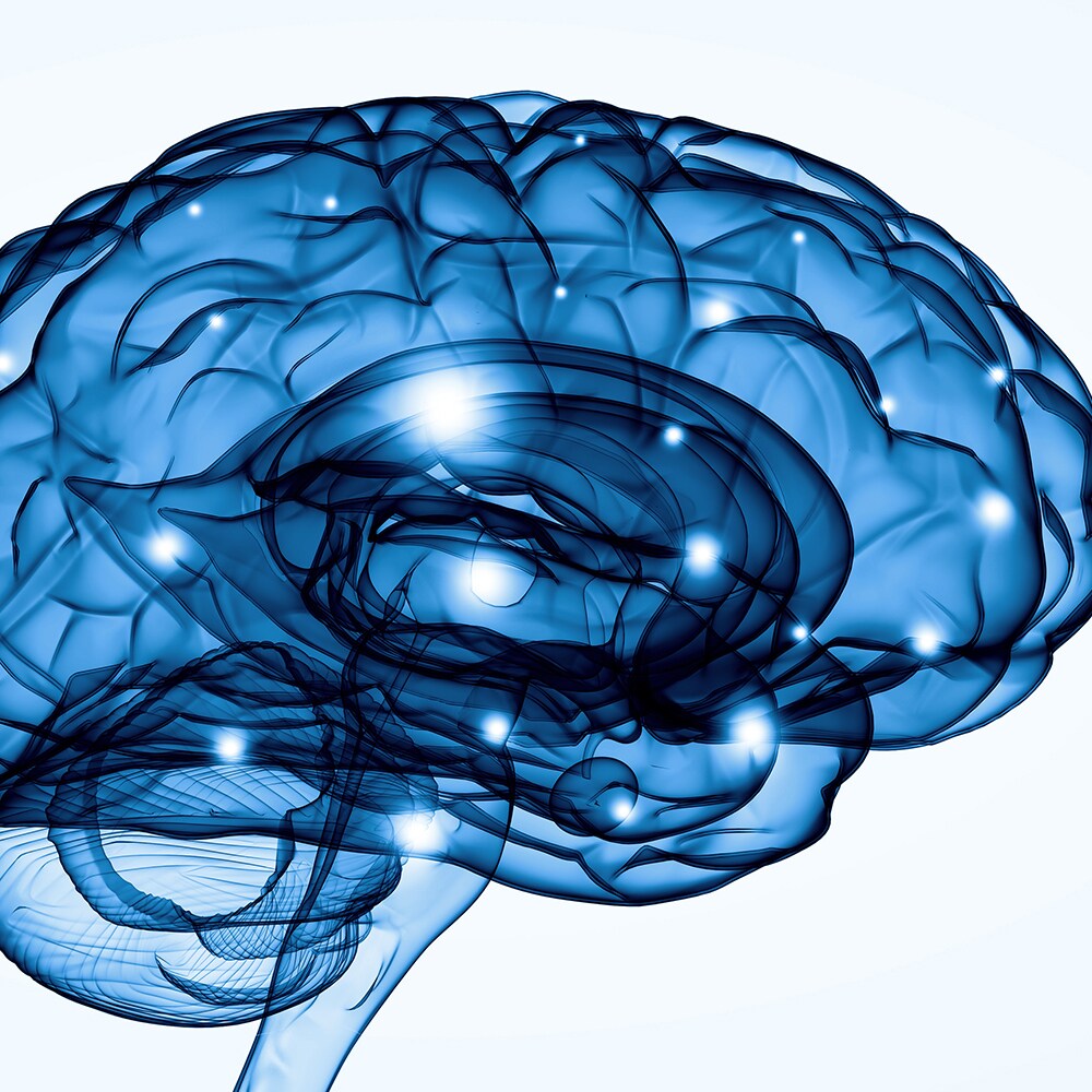 graphic of human brain