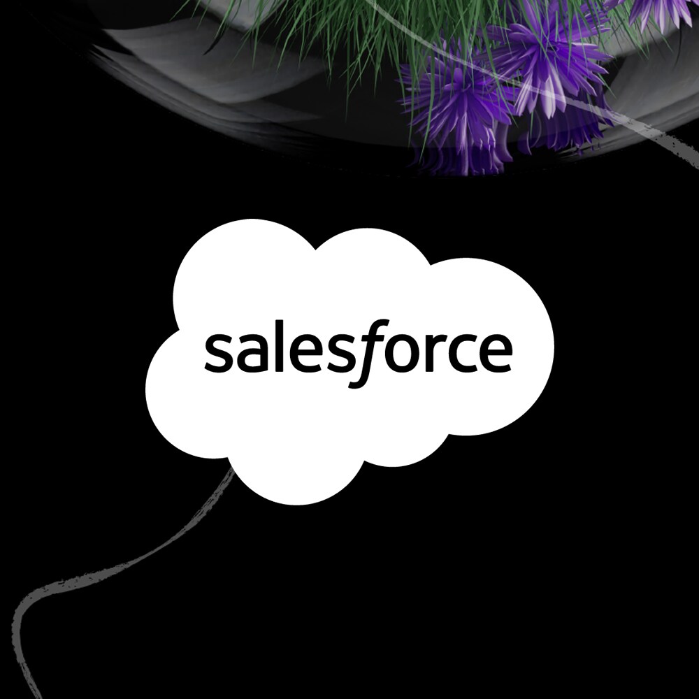 Salesforce alliance image