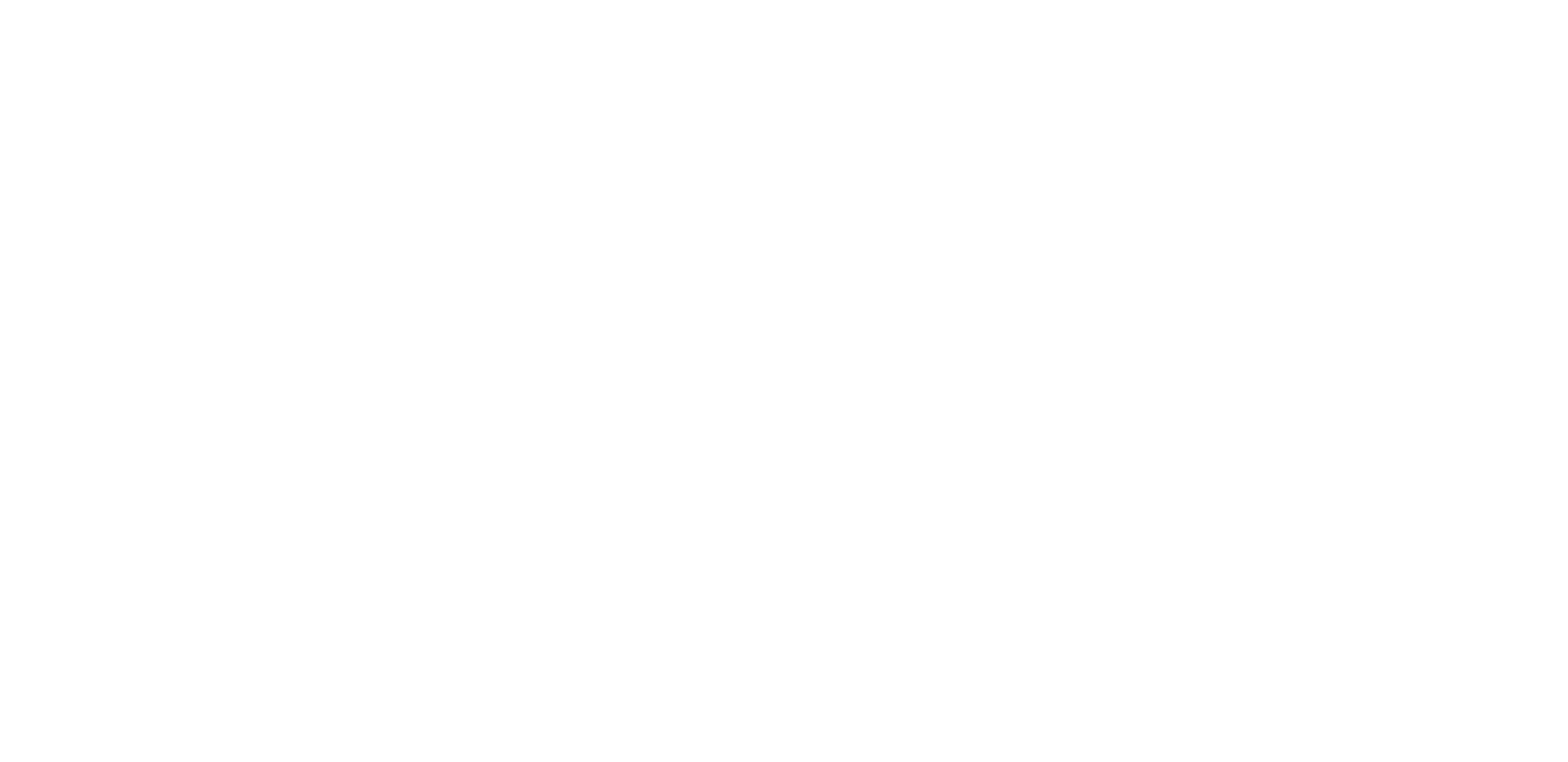 ACNE Logo